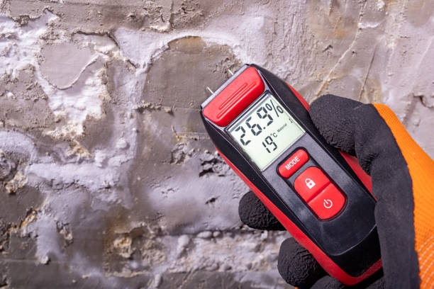 Best Mold Cleaning Services  in Lake Marcel Stillter, WA
