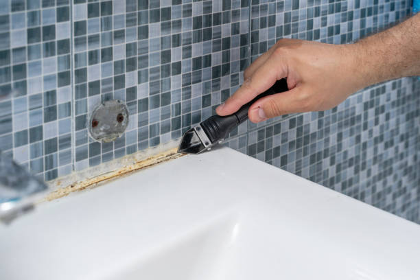 Best Home Mold Removal  in Lake Marcel Stillter, WA